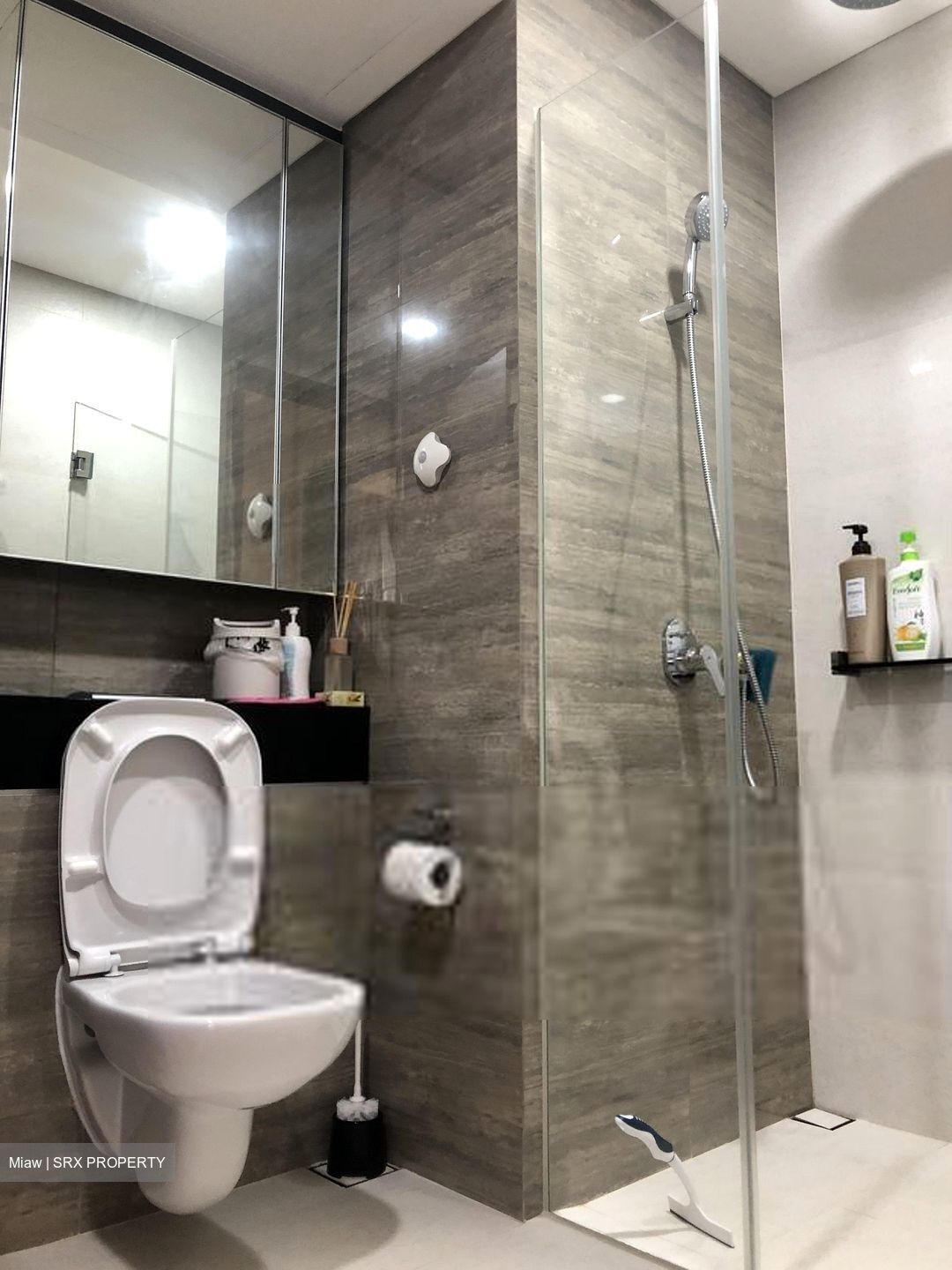 Park Place Residences At Plq (D14), Apartment #520270691